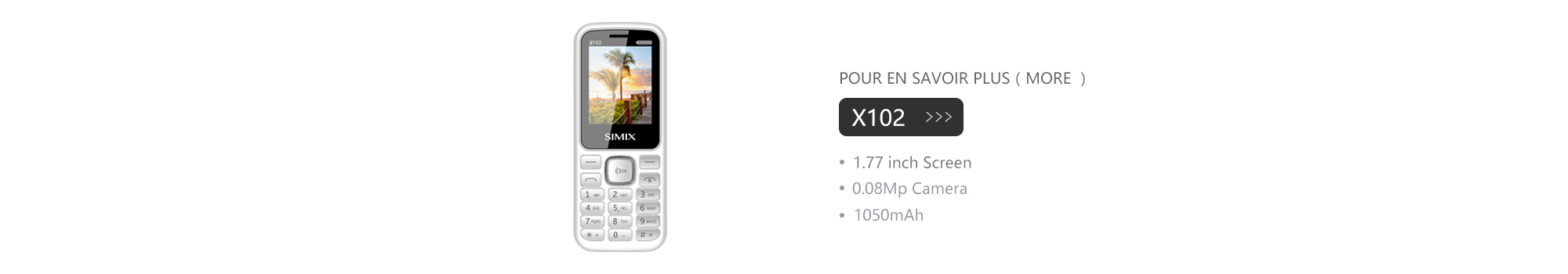 X102 Ordinateur portable
